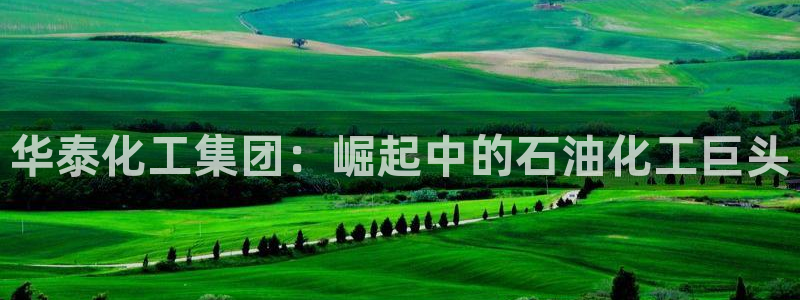 球盟会官方入口