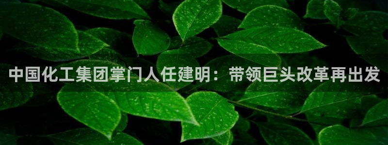 球盟会连接
