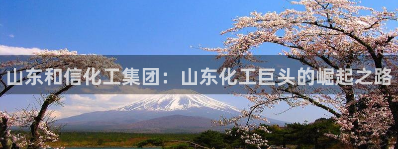 球盟会能提现吗是真的吗