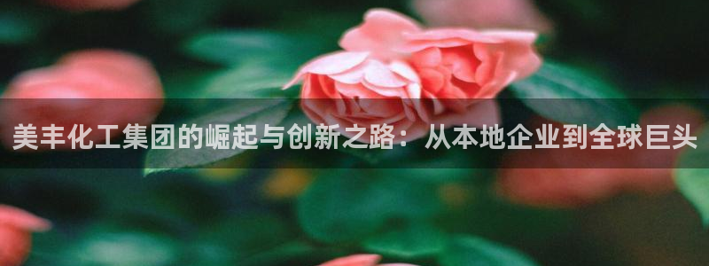 球盟会最新