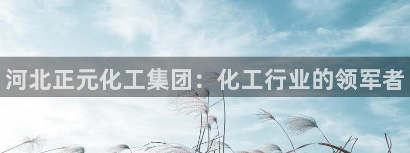 球盟会官网入口