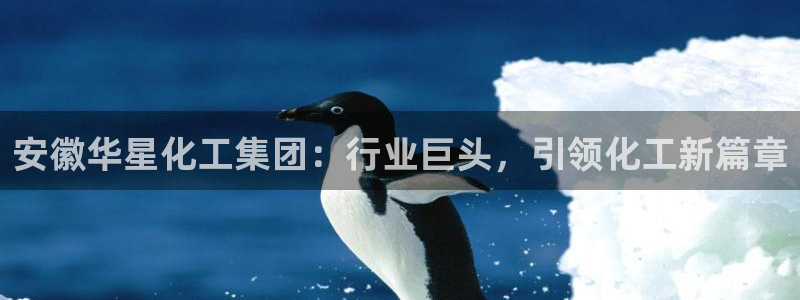 球盟会app网址多少号