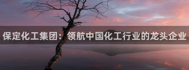 球盟会黑台子