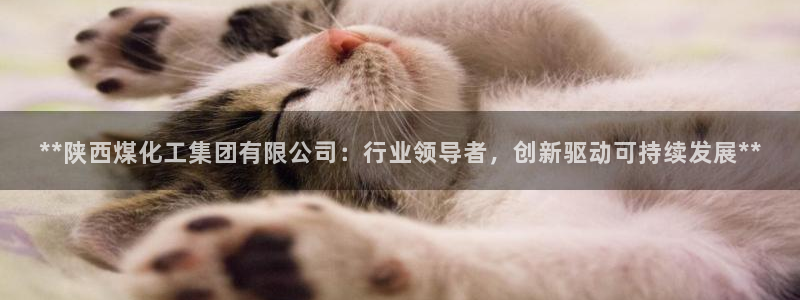 球盟会下载最新版：**陕西煤化工集团有限公司：行业领导者，创
