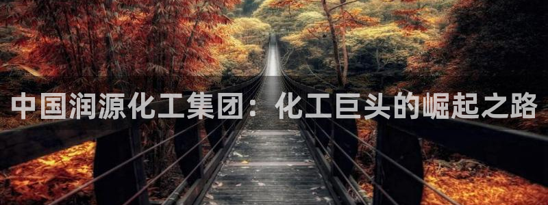 球盟会App