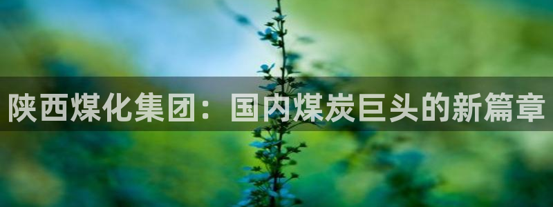 球盟会体育平台