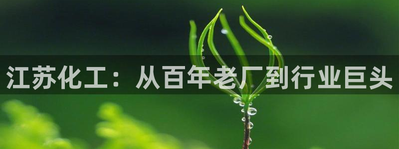 球盟会手机网页版