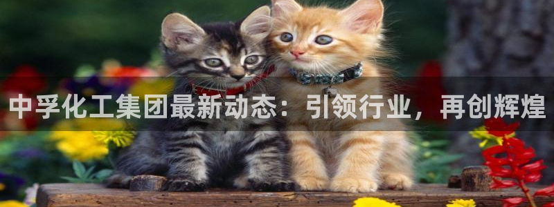 球盟会最新网