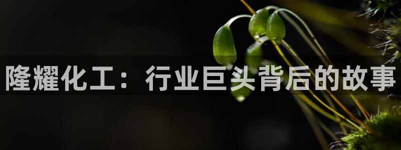 球盟会黑钱