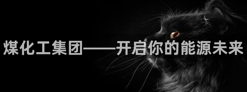 球盟会手机网页版