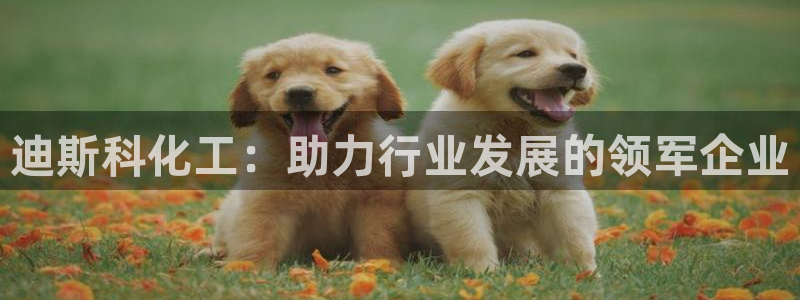 球盟会网页版