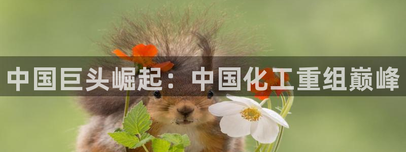 球盟会网页登录app下载地址