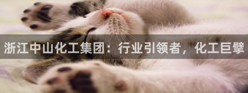 球盟会APP最新地址
