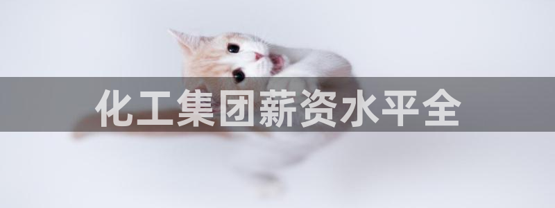 千亿球盟会乐玩
