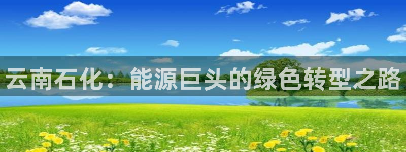 球盟会进不去