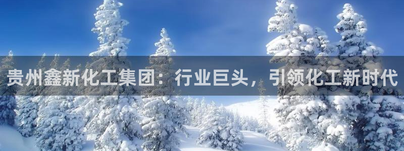 球盟会最新
