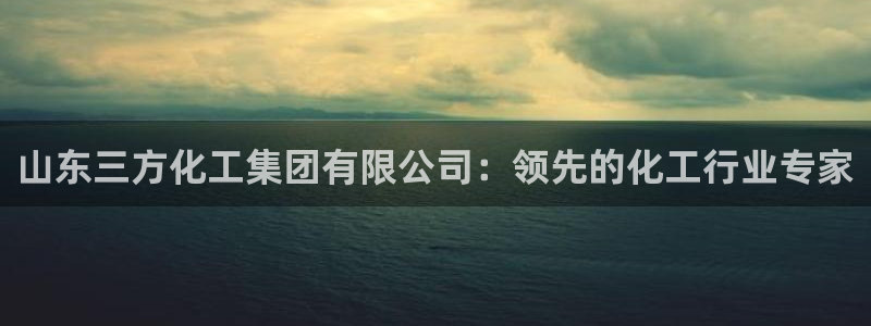 球盟会入口：山东三方化工集团有限公司：领先的化工行业专家