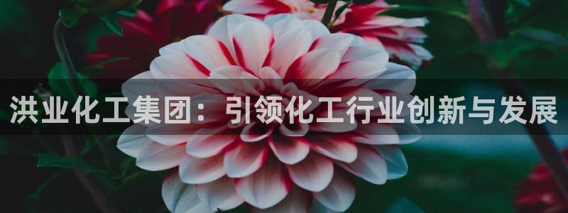 球盟会封禁