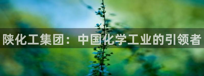 球盟会app最新地址在哪找