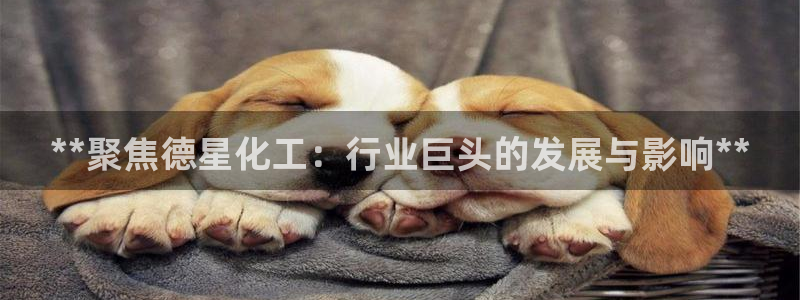 球盟会app手机登录