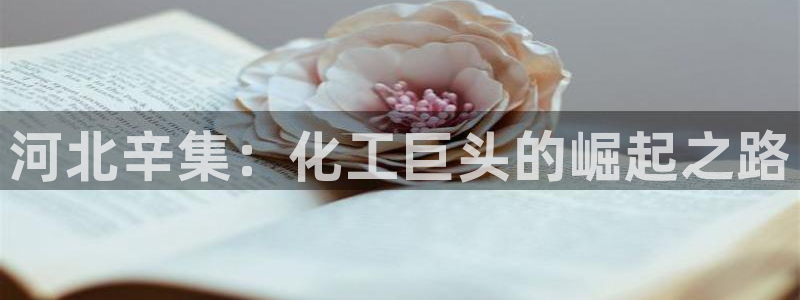 球盟会登陆入口