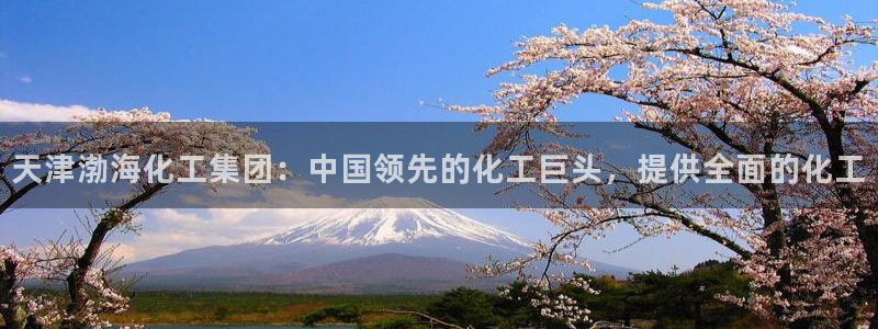 球盟会乐虎：天津渤海化工集团：中国领先的化工巨头，提供全面的