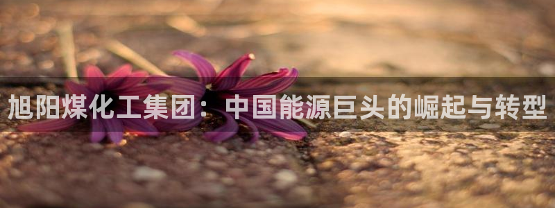 球盟会地址