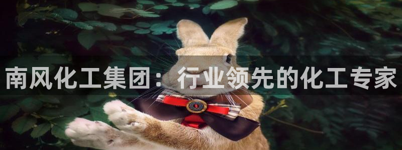 球盟会黑平台：南风化工集团：行业领先的化工专家