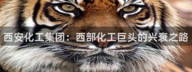 球盟会能退钱吗知乎