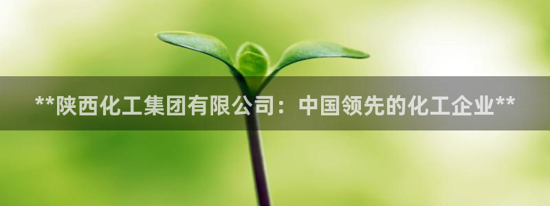 球盟会app网址多少：**陕西化工集团有限公司：中国领先的化