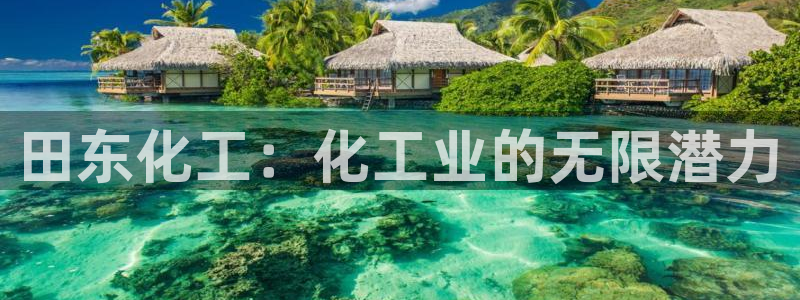 球盟会能提现吗是真的吗：田东化工：化工业的无限潜力