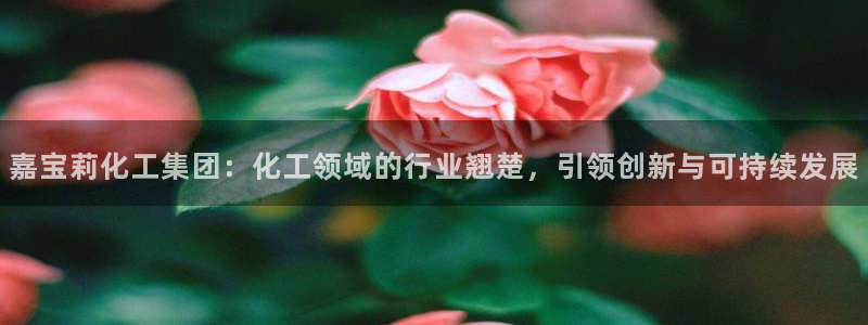 球盟会qmh：嘉宝莉化工集团：化工领域的行业翘楚，引领创新与