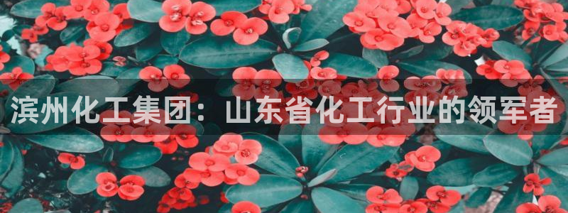 球盟会有没有黑单的球员：滨州化工集团：山东省化工行业的领军者