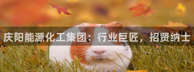 球盟会网址多少：庆阳能源化工集团：行业巨匠，招贤纳士