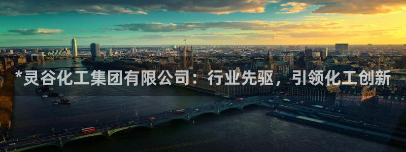 球盟会进不去吗：*灵谷化工集团有限公司：行业先驱，引领化工创