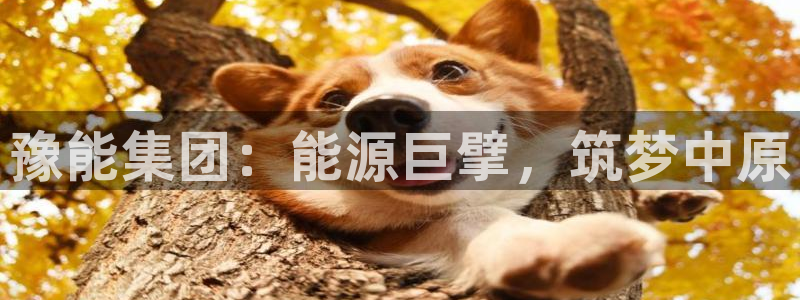 球盟会平台怎么样：豫能集团：能源巨擘，筑梦中原