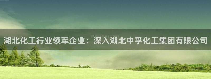 球盟会官网登录入口：湖北化工行业领军企业：深入湖北中孚化工集