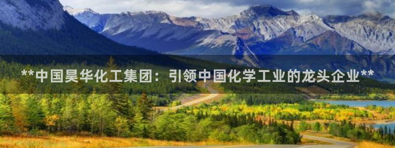 球盟会官方平台入口：**中国昊华化工集团：引领中国化学工业的