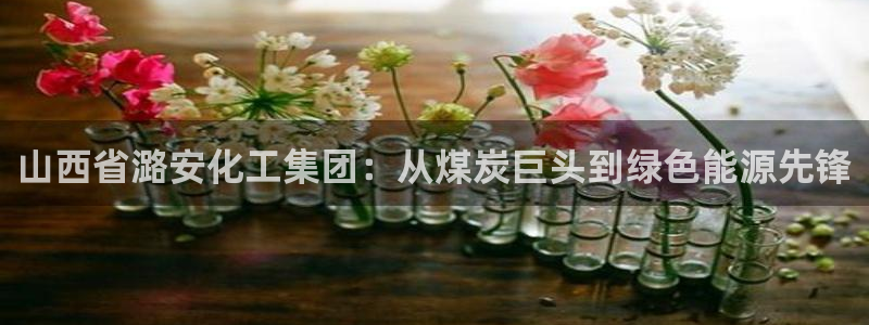 球盟会网址多少