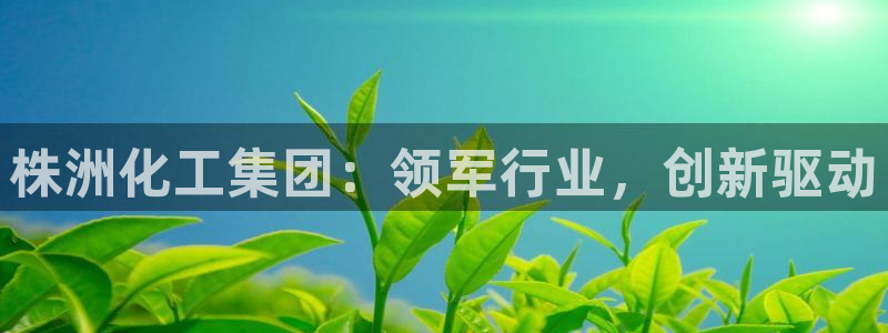 球盟会进不去吗