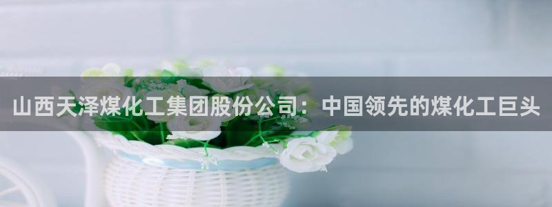 球盟会官方app首页入口：山西天泽煤化工集团股份公司：中国领
