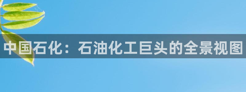 球盟会登陆入口