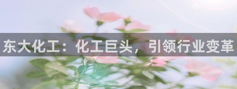 球盟会官方客服：东大化工：化工巨头，引领行业变革