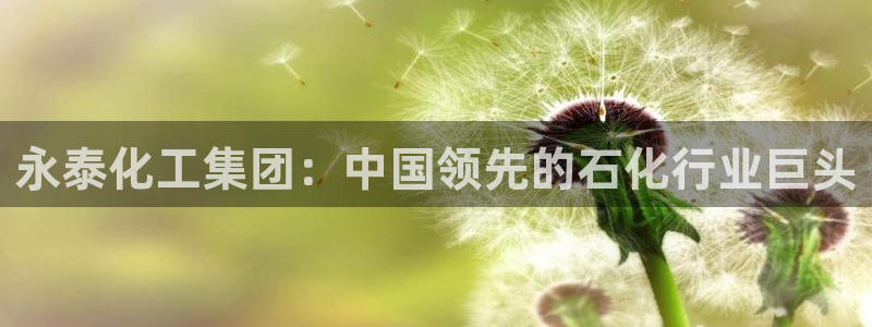 千亿球盟会：永泰化工集团：中国领先的石化行业巨头