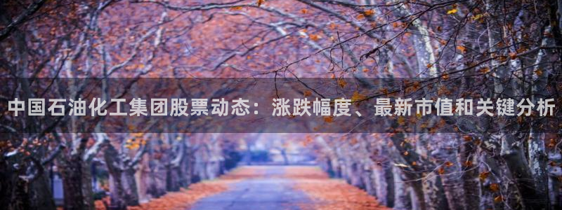 球盟会能退钱吗知乎