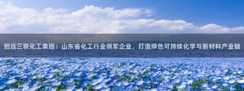 球盟会qm：招远三联化工集团：山东省化工行业领军企业，打造绿