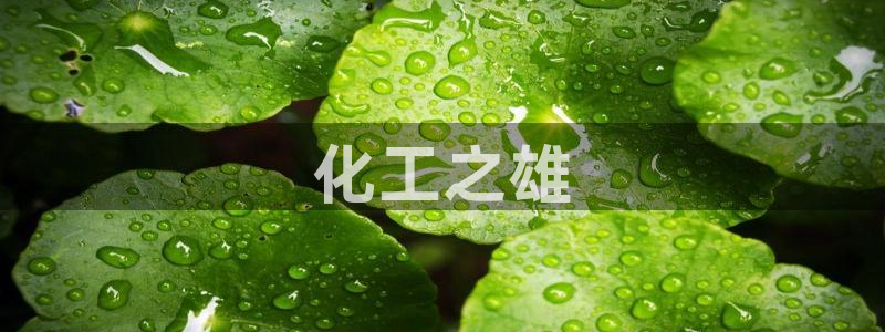 球盟会app最新地址在哪看：化工之雄