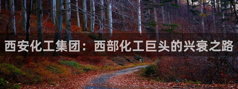 球盟会体验金球奖吗
