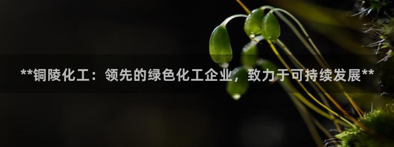 球盟会电子游戏平台：**铜陵化工：领先的绿色化工企业，致力于