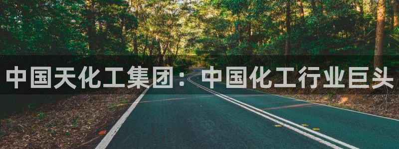 球盟会官方版下载地址